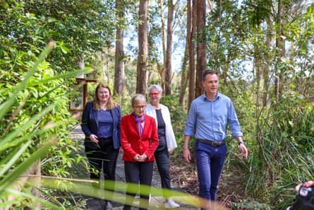 Chris Minns walks down a leafy national park track