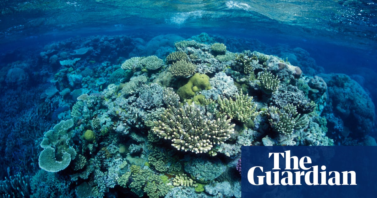 Australia to fly ambassadors to Great Barrier Reef ahead of in danger list vote