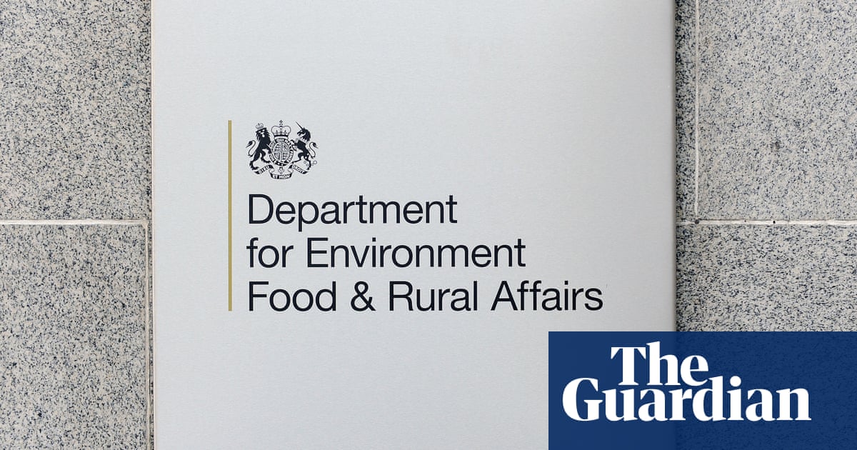 www.theguardian.com