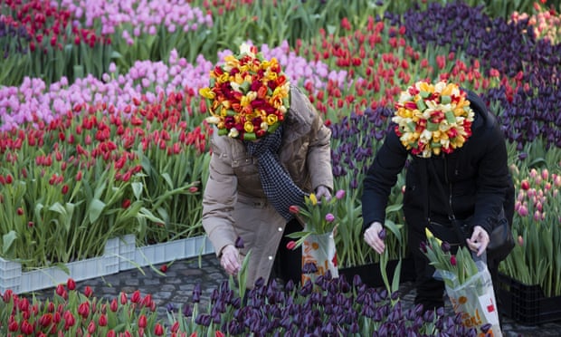 Flower enthusiasts celebrate National Tulip Day near the Royal Palace in Dam Square, Amsterdam.