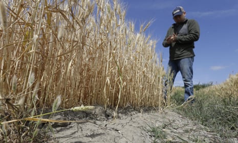 California accepts historic offer by farmers to cut water usage by 25% ...