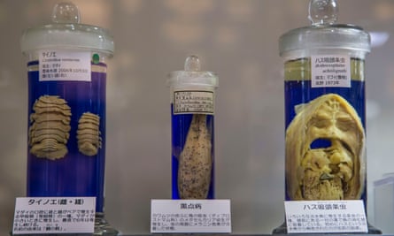 The Meguro Parasitological Museum