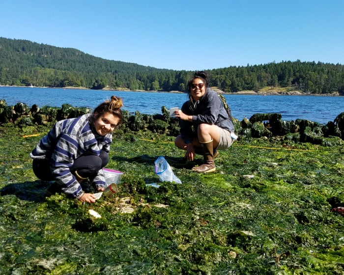 Braiding knowledge: how Indigenous expertise and western science are converging