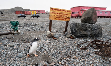 Chinese base and penguin