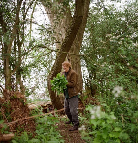 A woman with short red hair holds plants in her arms with a large tree behind her