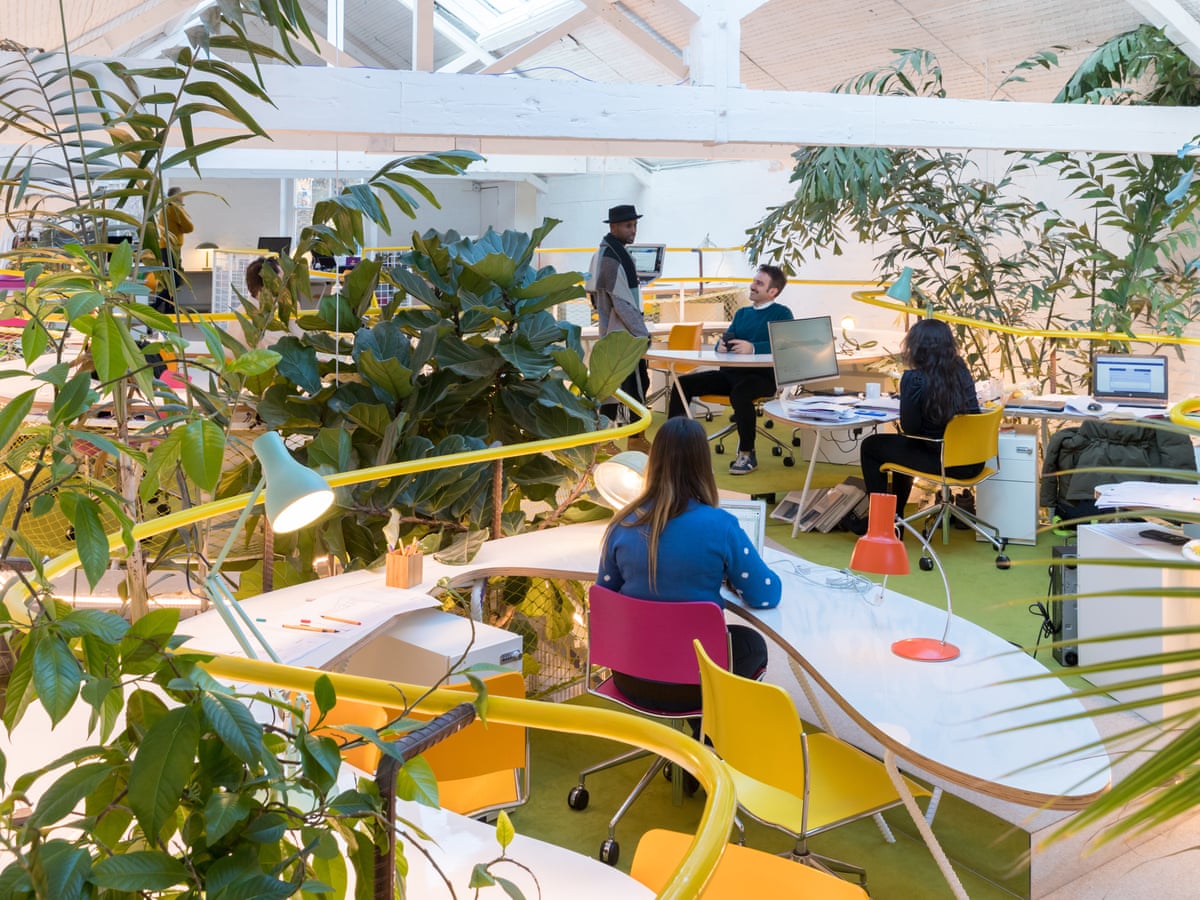 Wonky Desks Giant Fig Trees And Mindfulness Classes Is This The Office Of The Future Art And Design The Guardian