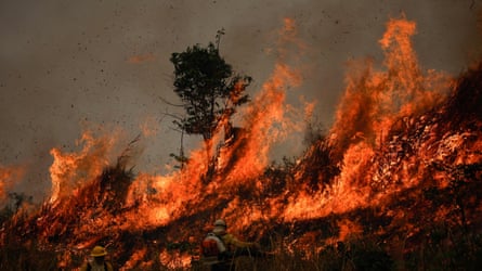 Rainforest burning in Brazil’s Amazonas state