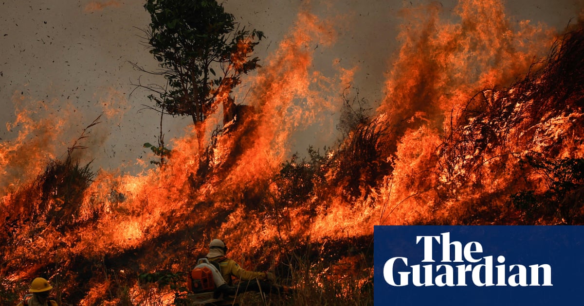 Fires drove record loss of world's forests last year, frightening' data shows