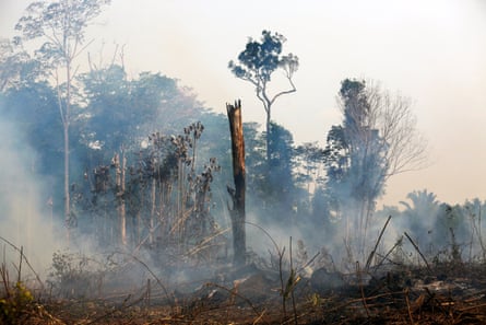 View of a burning area in the forest in Canutama, southern Amazonas state, Brazil,
