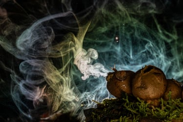 A snail on a mossy, bulbous surface faces swirling, colourful smoke in darkness