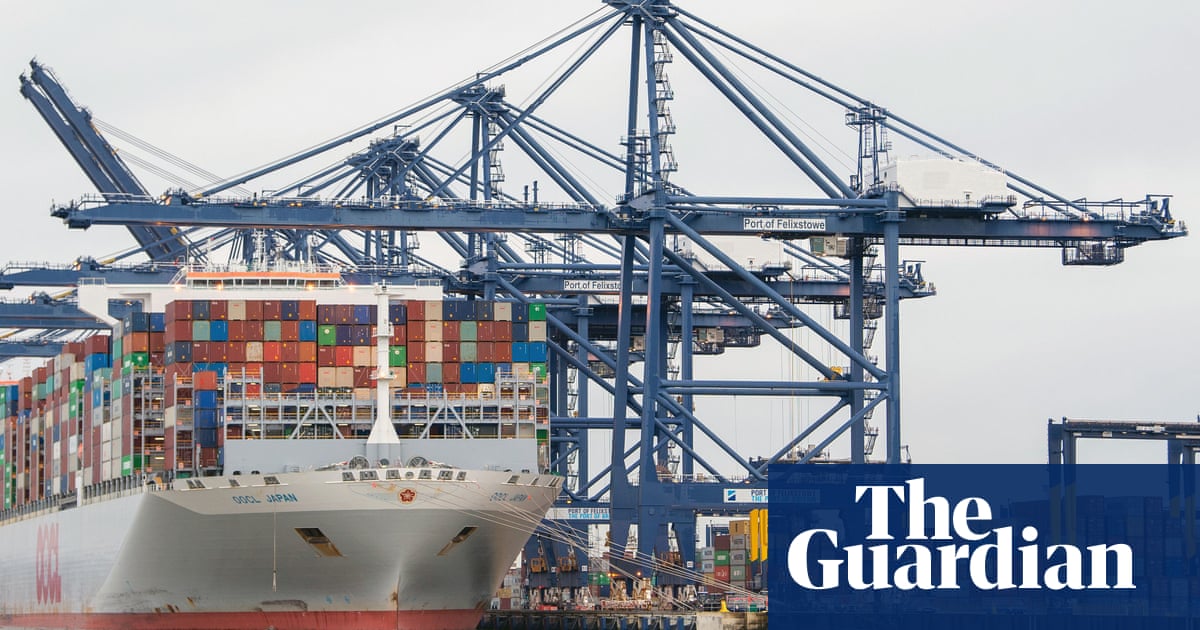 UK ports disruption - importers call for urgent inquiry by MPs