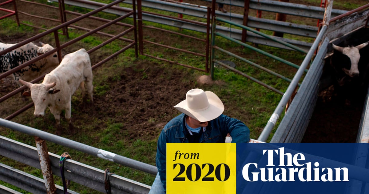 www.theguardian.com
