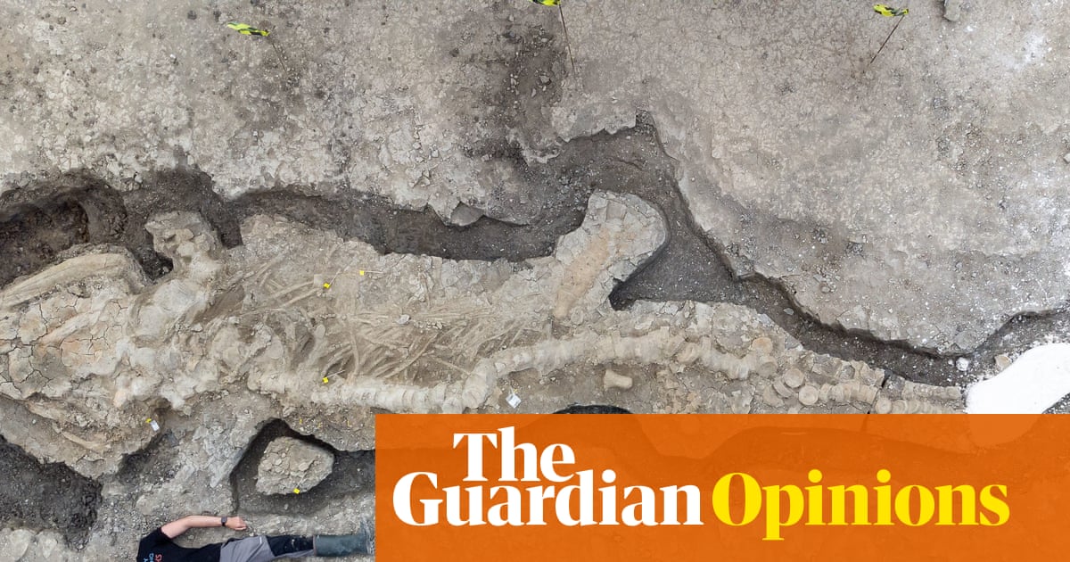 The Guardian view on the export of fossils: they deserve national treasure status | Editorial