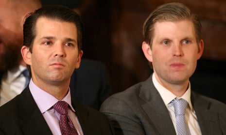 Donald Trump Jr and Eric Trump are among the individuals sent document demands by the House judiciary committee.