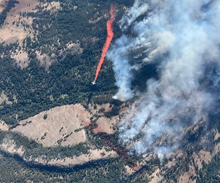 An aerial view of a light aircraft with a trail of orange smoke passing over a wooded area from which plumes of smoke are rising.