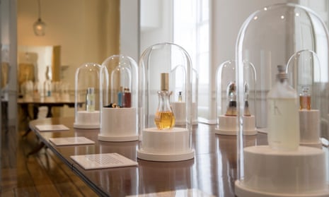 Perfume: A Sensory Journey Through Contemporary Scent