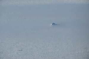 An iceberg in pack ice and shrouded in fog in Alexis Bay, Labrador