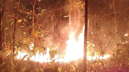 A large fire in a dense area of woodland.