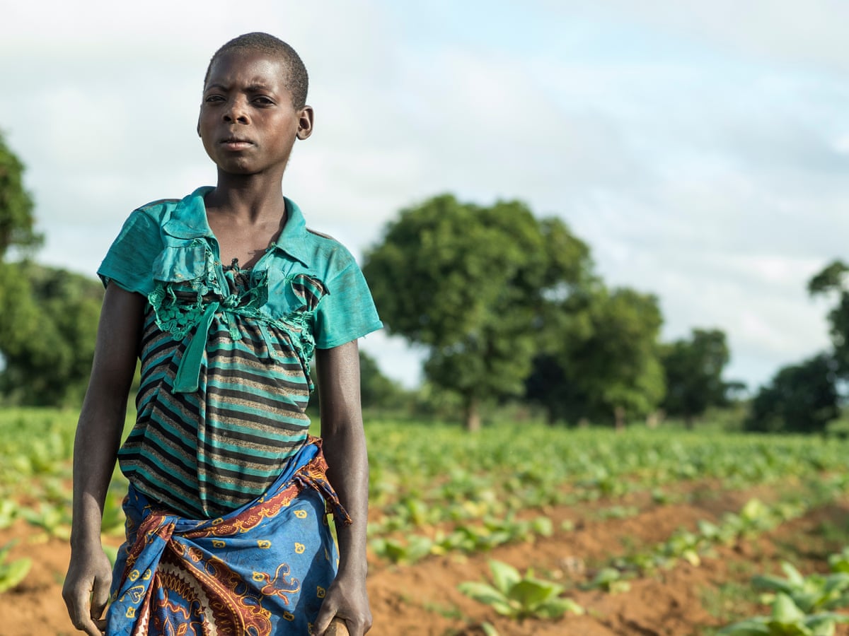 harms of tobacco use Tobacco harms the environment and the climate