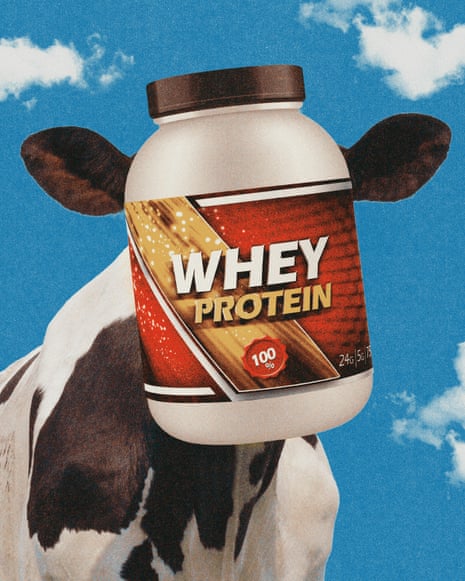 Illustration of a cow with a large whey protein tub replacing its head against a sky with clouds