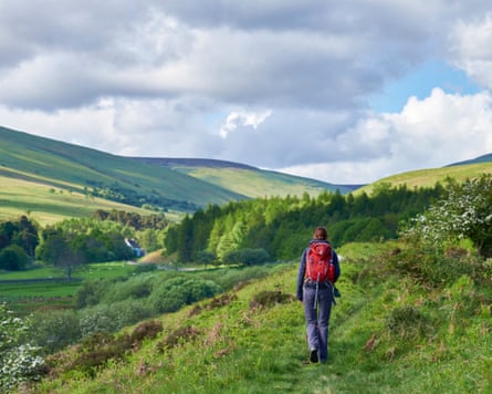 Cheviot HillsA woman walking in the Cheviot Hills in Northumberland’s national park.