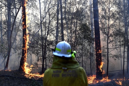 A firefighter battles a blaze burning in trees