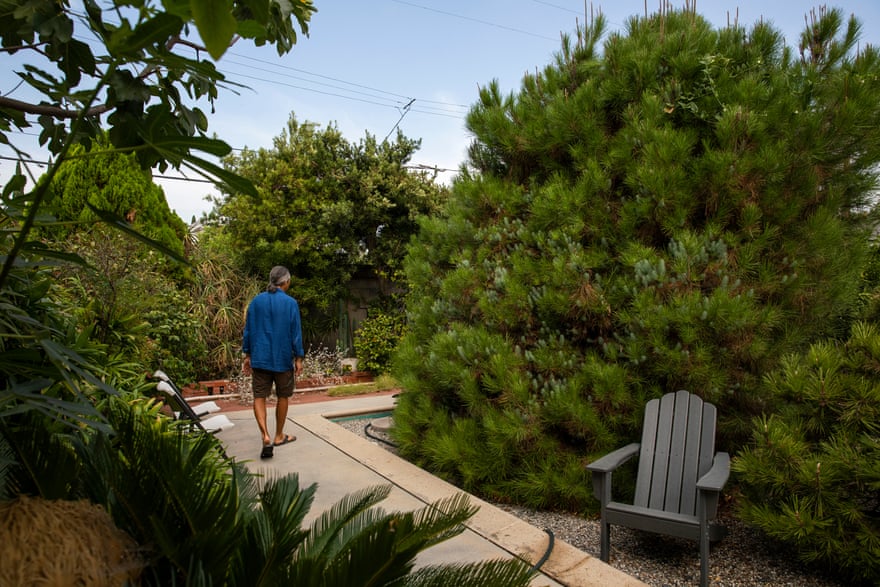 man walks down path among plants