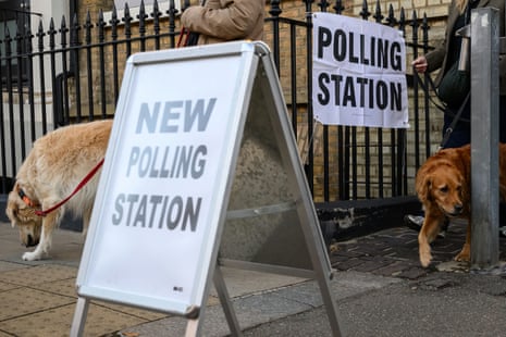 Dogs at a polling station