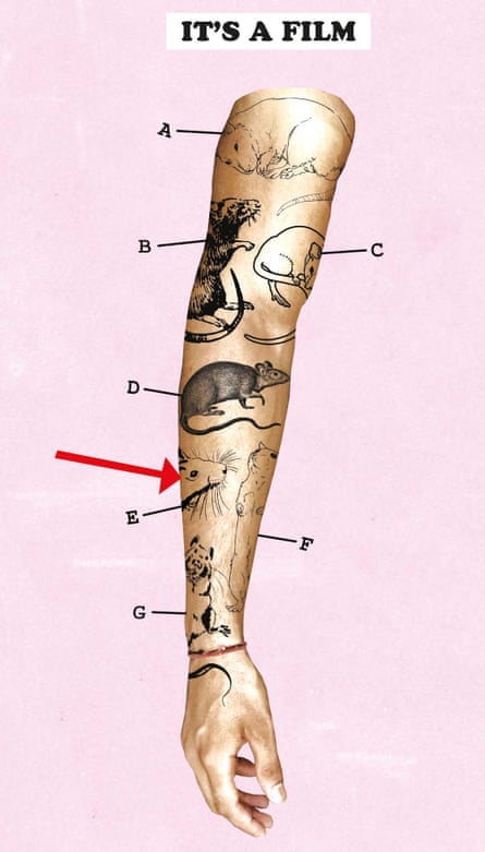 Pages from Say What Ewe Sea puzzle 34