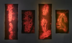 Stolen Climate (2020) por Clinton Naina