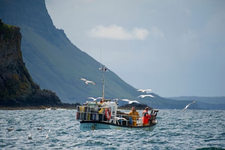 A fishing boat off the coast with seagulls circling above