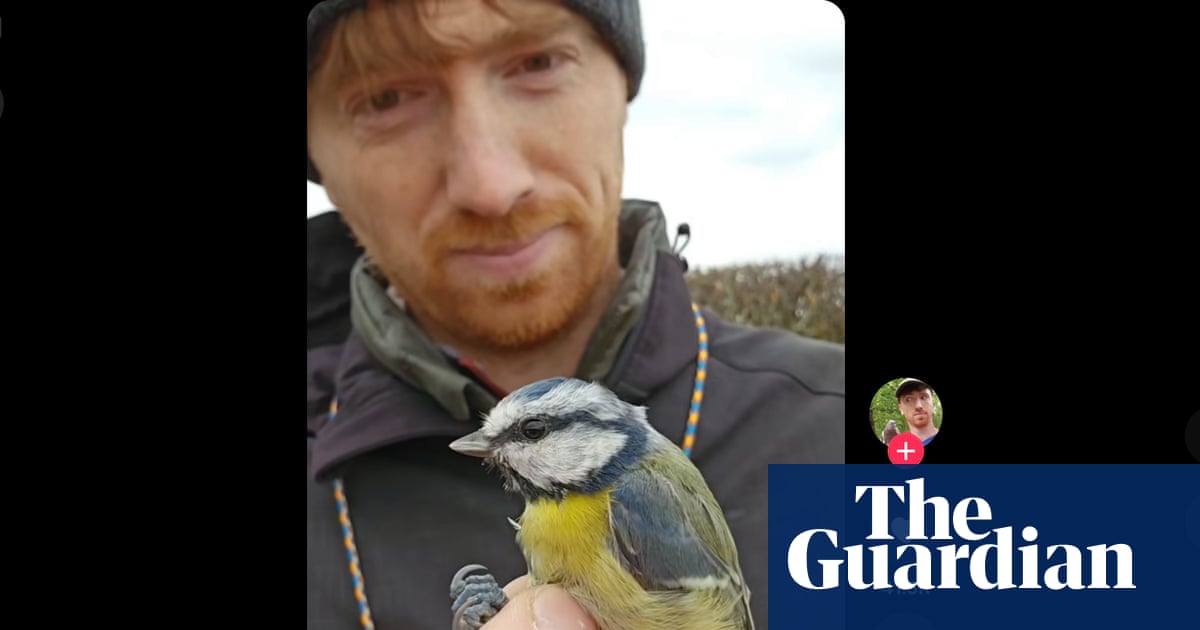 Gen Z flocks to BirdTok as birding takes flight: ‘It’s a craving for something real’