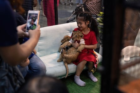 Child poses for photo with a lion cub at a pet variety exhibition.