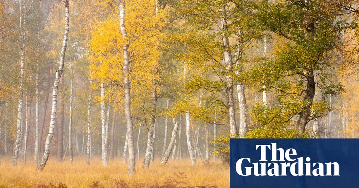 GDT Nature Photographer of the Year 2021 | Environment | The Guardian