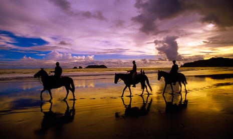 Horses amble at the edge of the Pacific ocean, Manuel Antonio, Costa Rica