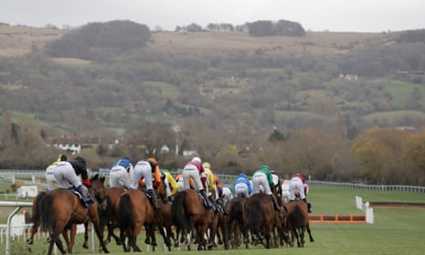 The horses make their way out onto the back straight at Cheltenham.