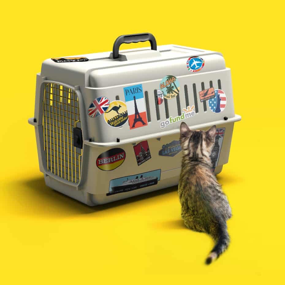 Got A Grand For My Cat S Gap Year The Unstoppable Rise Of I Want Crowdfunding Crowdfunding The Guardian Got A Grand For My Cat S Gap Year The Unstoppable Rise Of I Want Crowdfunding Crowdfunding The Guardian