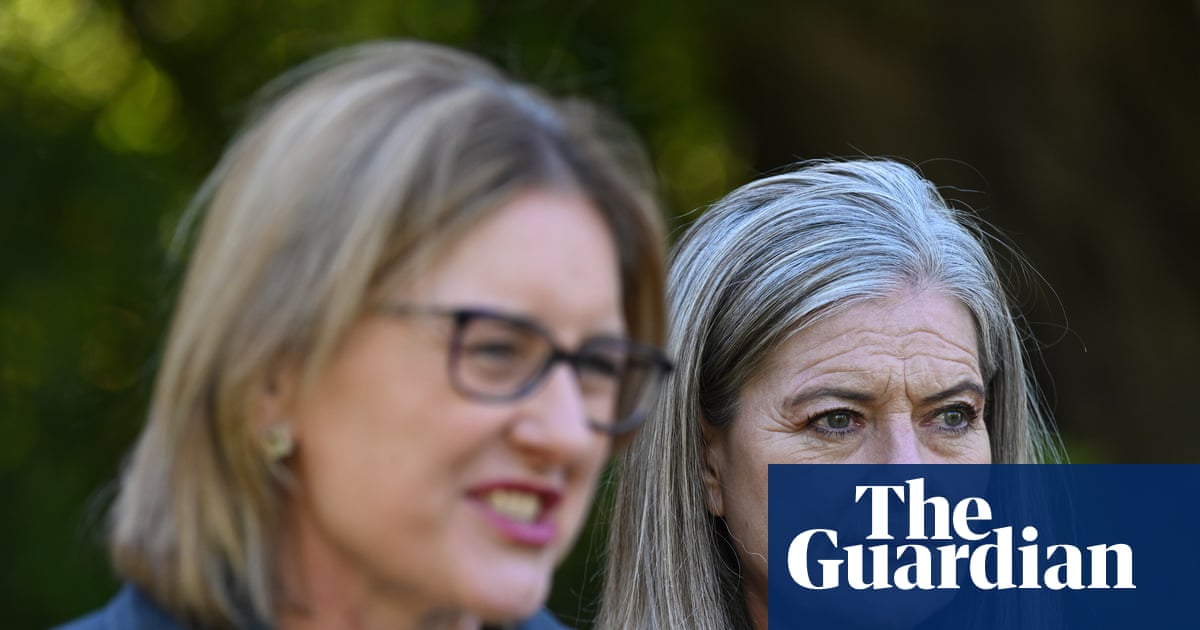 Victorian Labor to introduce stand-alone coercive control offence in backflip to match opposition policy