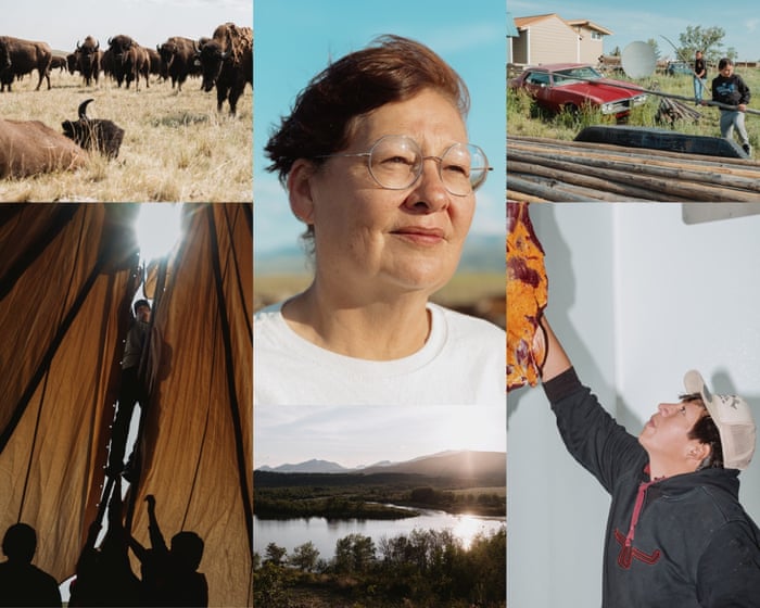 After centuries of trauma, Montana’s Blackfeet Nation turns to an old friend for food sovereignty: bison