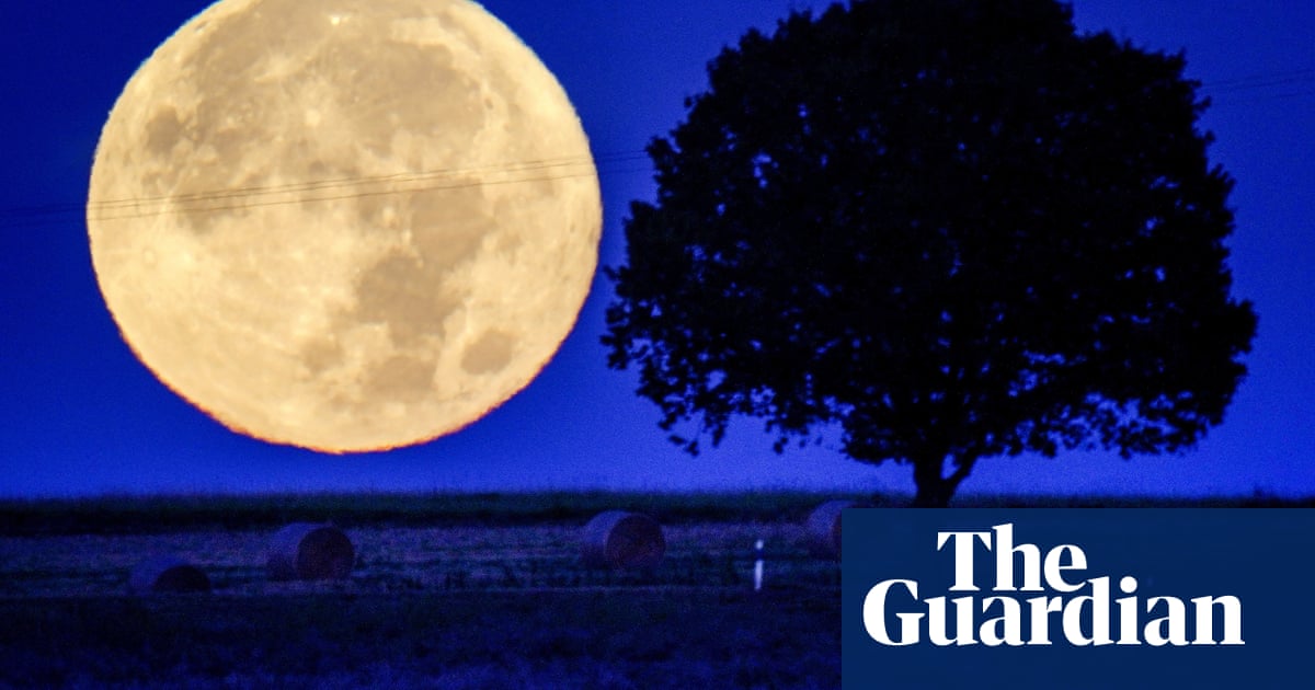 A Full Moon And A Rare Croc Tuesday S Best Photos News The Guardian A Full Moon And A Rare Croc Tuesday S Best Photos News The Guardian