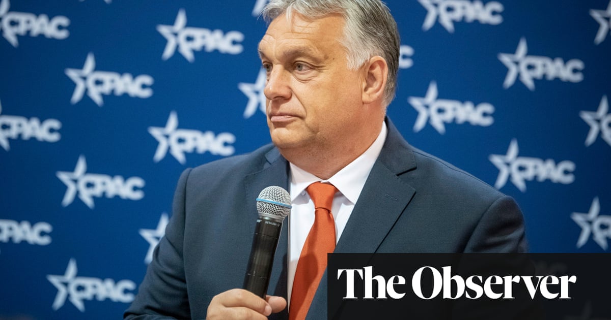 Viktor Orbán’s grip on Hungary’s courts threatens rule of law, warns judge