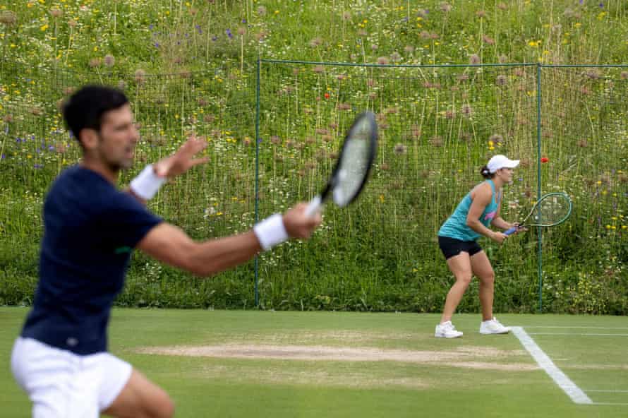 Plans for an extension to the All England Tennis Club will create habitats for hedgehogs and Daubenton’s bats, according to the club.