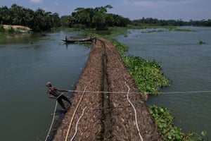 A man holds a rope as people transport floating beds towards a farm through the Belua river in Pirojpur district, Bangladesh