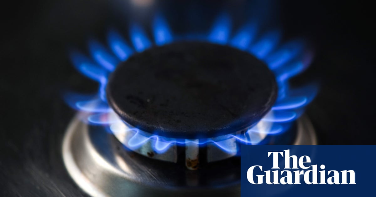 US fossil fuel industry campaigns to kill policies that ban gas in new buildings | Environment US fossil fuel industry campaigns to kill policies that ban gas in new buildings | Environment