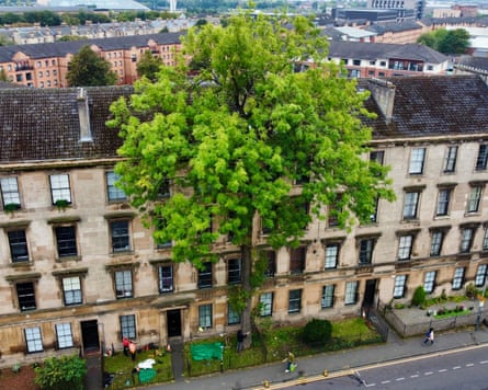 The Argyle Street Ash stands tall in front of sandstone tenement houses