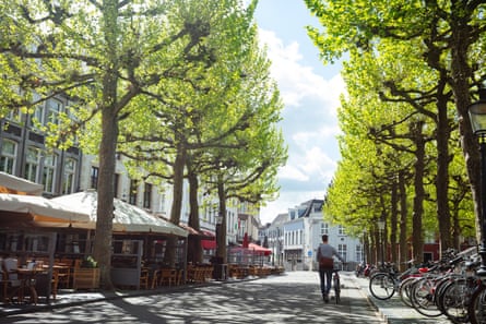 Dappled shade of verdant trees with bicycles lined up, and a solitary figure taking a leisurely walk, Maastricht, Holland