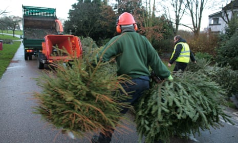 Christmas tree recycling in Catford, south London