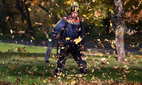 Man blowing leaves using a leaf blower