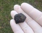Flight paths and fridge magnets: how a fireball hunter tracked down New Zealand’s newest meteorite