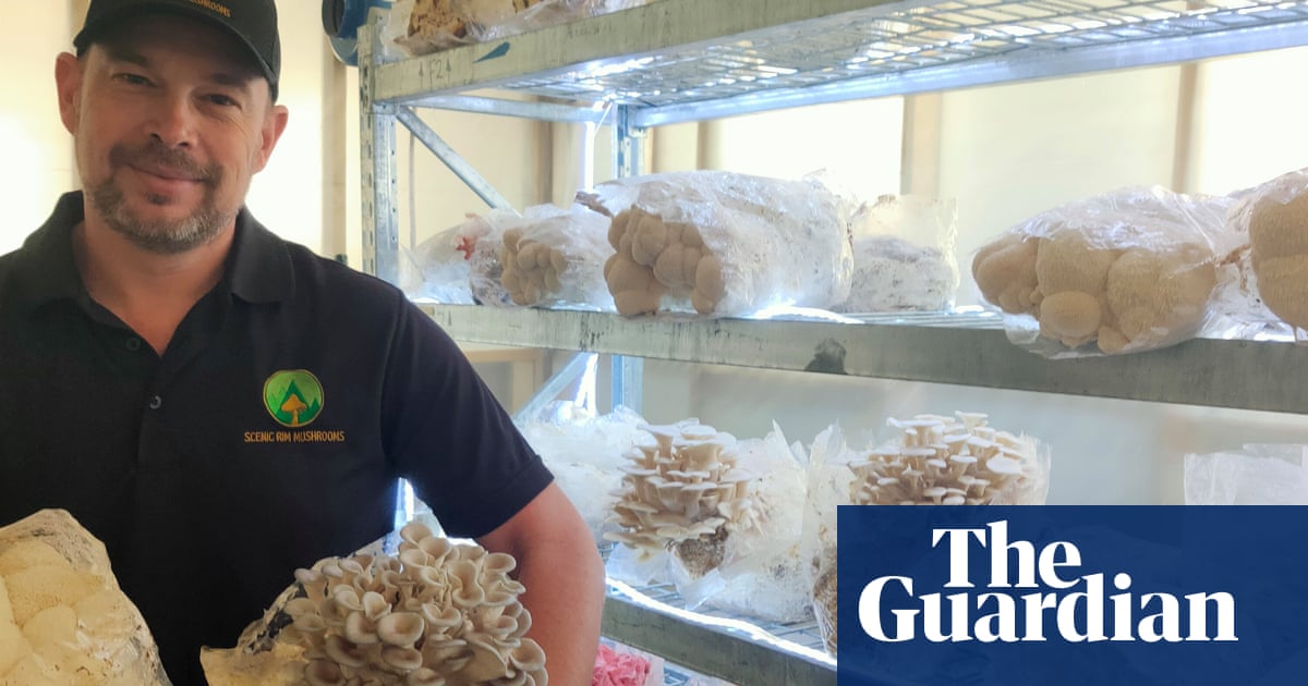 From bowls club to mushroom farm: how a new generation is reimagining life on the land